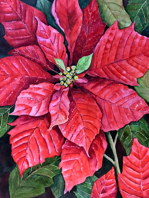 Christmas Beauty
