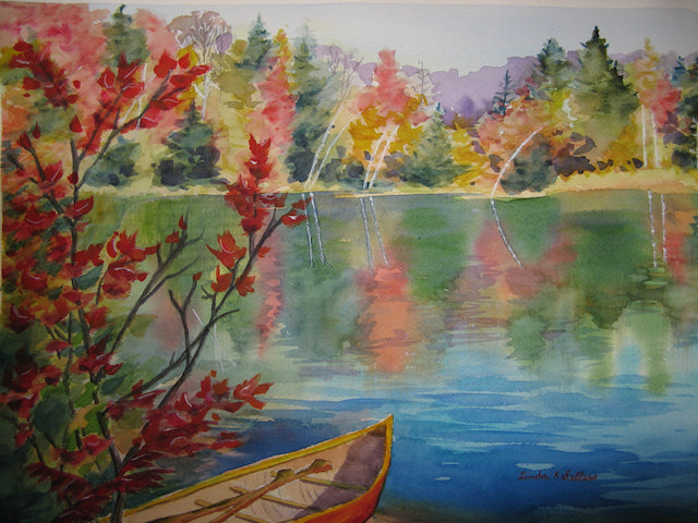 Colourful Splendor