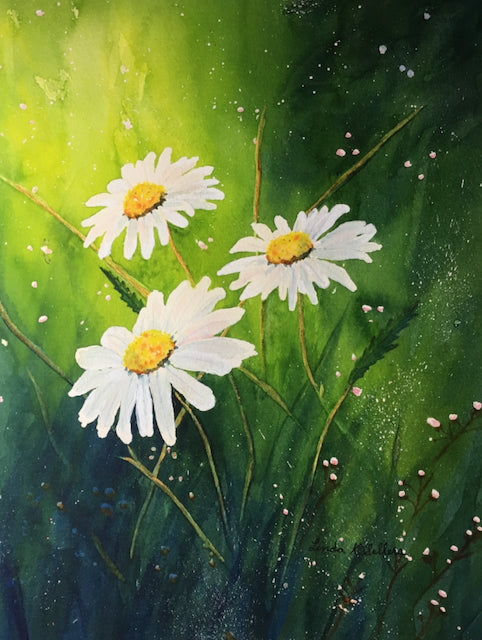 Daisy Trio