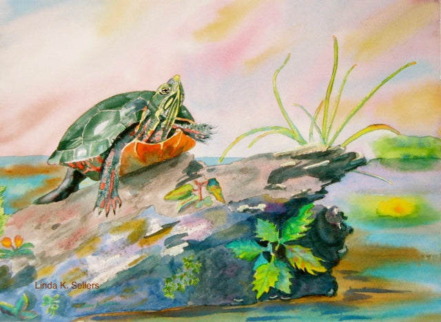 Painted Turtle