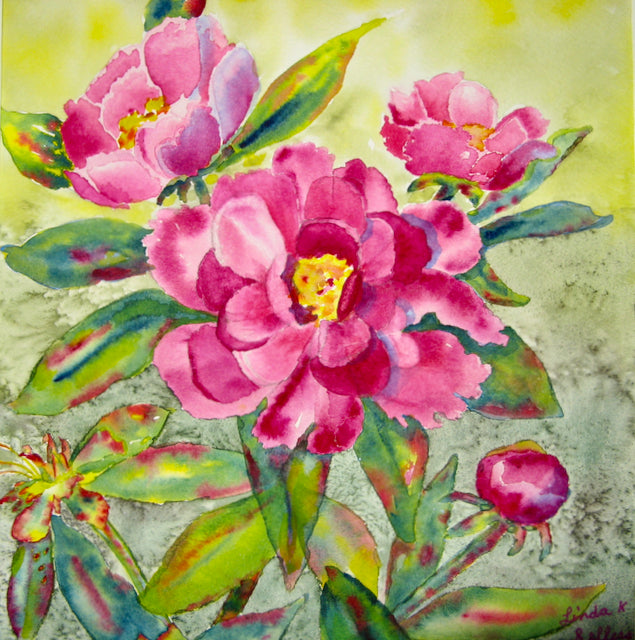 Peonies Cycle