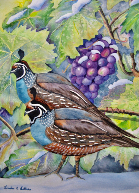 Quail in the Vineyard