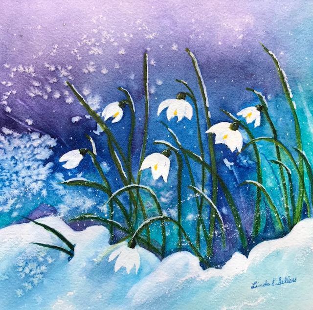 Snowdrops Drift