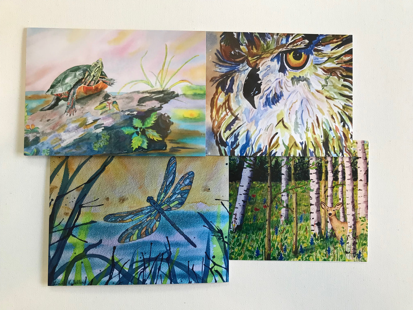 WILDLIFE 4-card set