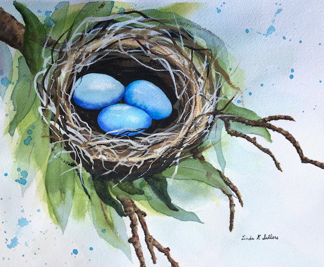 Blue Eggs in Nest