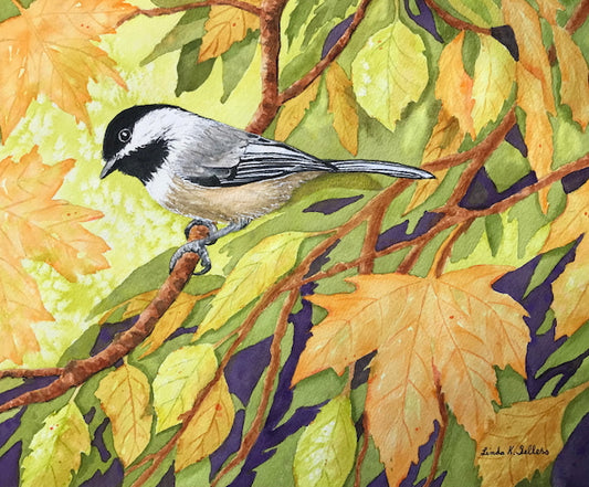 Chickadee Visit