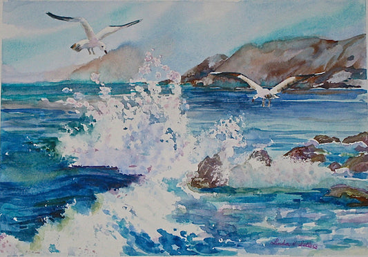 Gulls at the Seashore