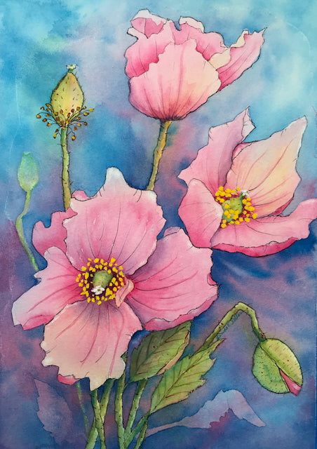 Pink Poppies 2